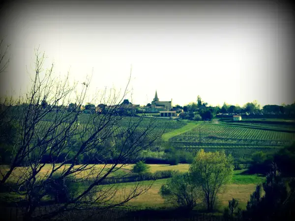 Borne de Recharge 33 Installateur borne de recharge Berson