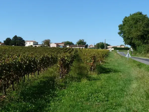 Borne de Recharge 33 Installateur borne de recharge Saint-Ciers-de-Canesse